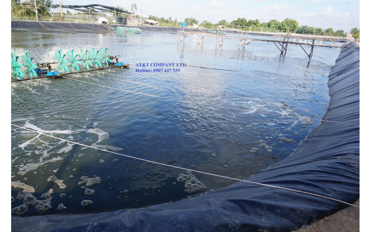 Sử dụng quạt nước trong nu&ocirc;i t&ocirc;m hiệu quả